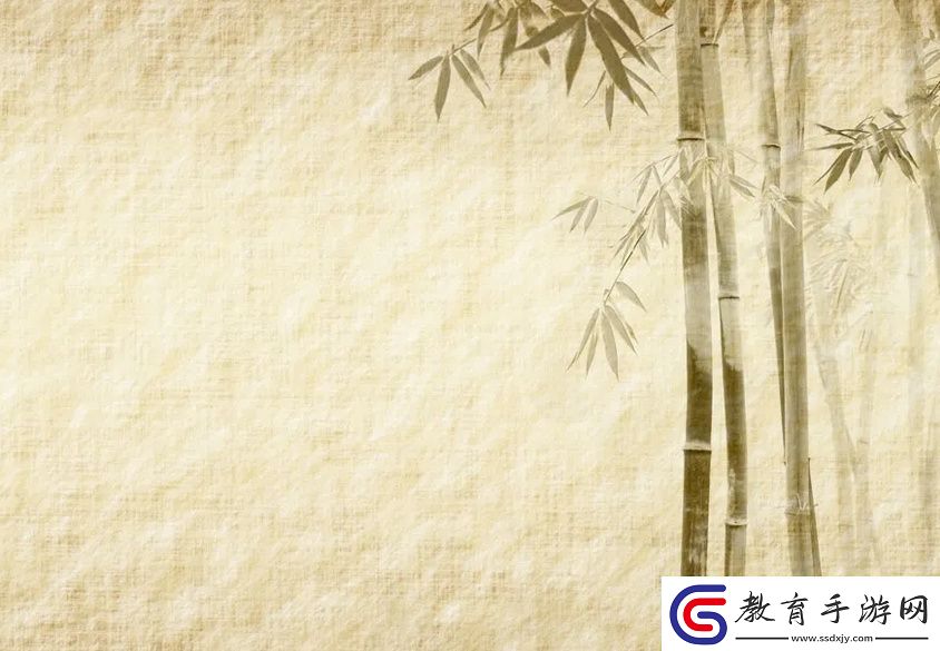 亞洲尺碼最受歡迎的是哪些常見尺碼與品牌解析