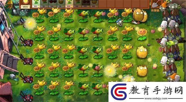 植物大戰僵尸融合版冒險模式第3關通關攻略