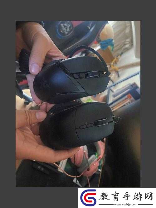 雙黑蛇的溫度1V2