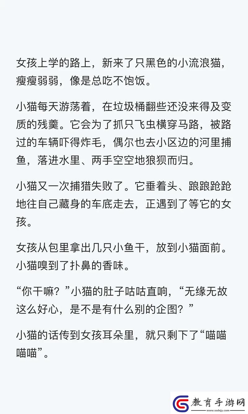 “燉”在夢鄉之前