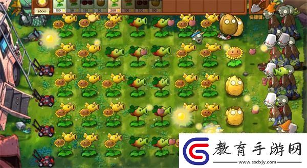 植物大戰僵尸融合版冒險模式第3關通關攻略