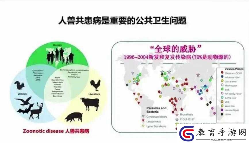 人與畜禽共性關系的重要性
