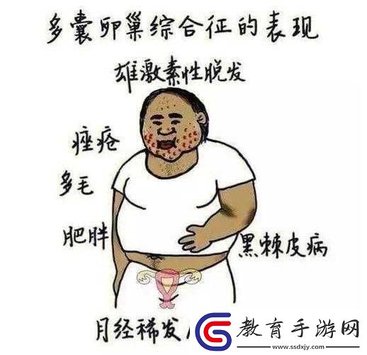 綜合一與綜合二圖片區別是什么