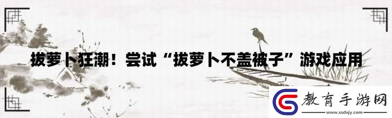 100款拔蘿卜打牌不蓋被子