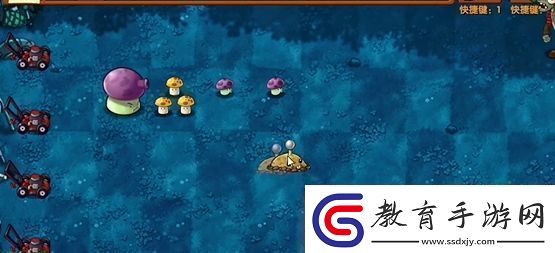 植物大戰僵尸融合版冒險模式第8關通關攻略