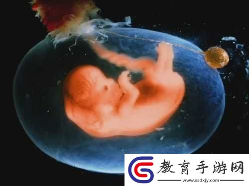 胎兒露頭