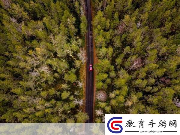 手游新視界姚安娜跨界榮耀戛納短片獎點(diǎn)燃玩家創(chuàng)意火花！
