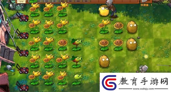 植物大戰僵尸融合版冒險模式第3關通關攻略