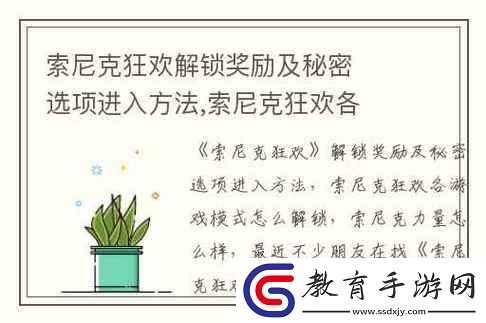 索尼克狂歡秘密選項進入方法揭秘