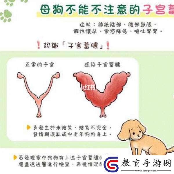 狗**「困局」