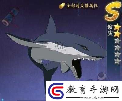 通靈術鮫鯊極致修煉后的通靈術揭秘
