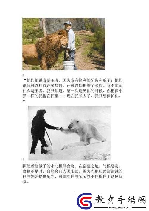 人與動物的故事