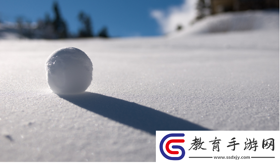 那兩團雪球在他的手里
