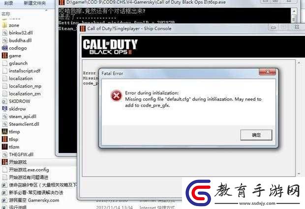使命召喚9error