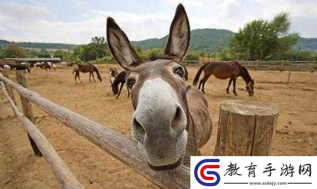 傻大壯長的驢一樣的東西
