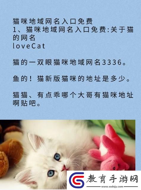 喵星人占領(lǐng)網(wǎng)絡(luò)