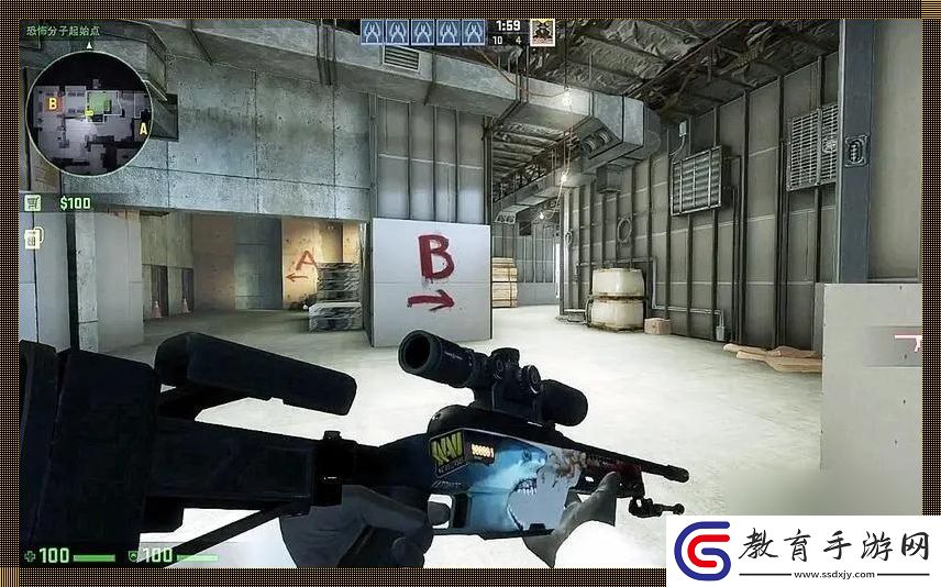 暴力阿姨CSGO新潮流