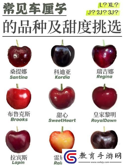 “櫻冠游戲解說榜首之果誰人不愛”