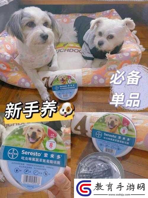 人狗膠配方大全狗狗一天吃多少