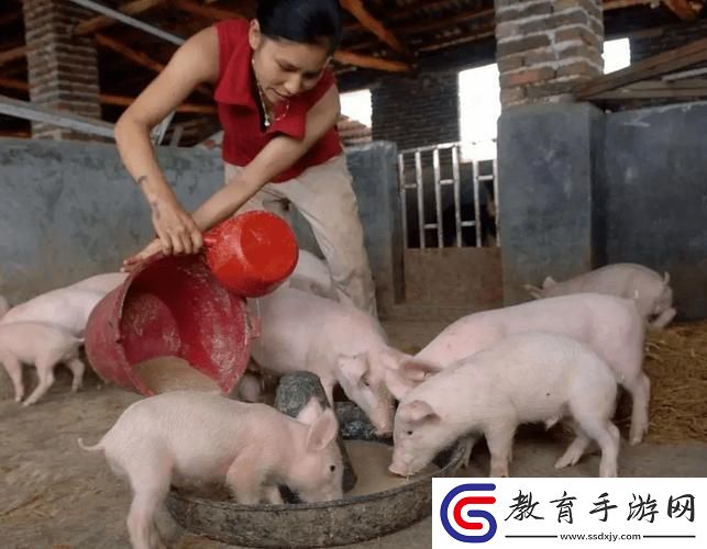 養豬場二代