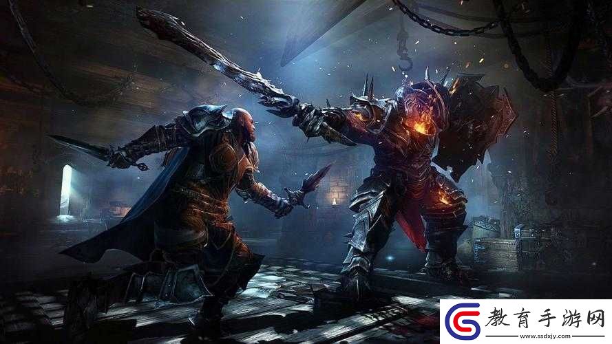 墮落之王雙持武器使用方法