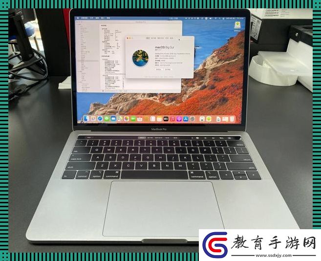 19歲MacBook