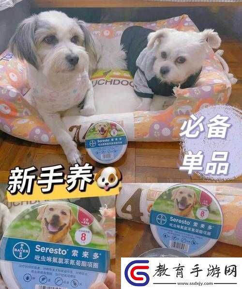 人狗膠配方大全狗狗