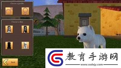 美國ZOOM動物ZOOM