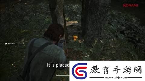 合金裝備Δ變化主要表現(xiàn)在圖像