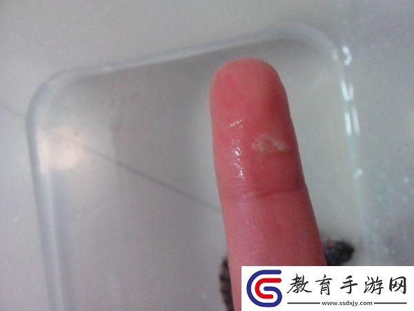 “白邊帽”傳奇