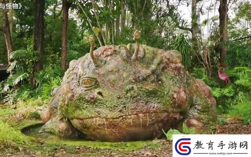 關(guān)于變異劇毒蟾蜍的位置提示