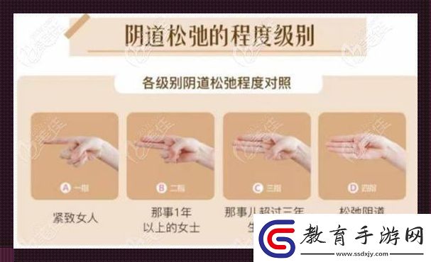 “松弛”求索記