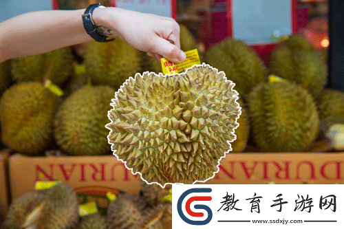 免費(fèi)的行情軟件網(wǎng)站v1.78.1