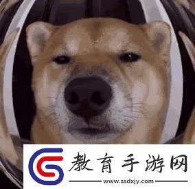 科技圈里的“家常”笑談