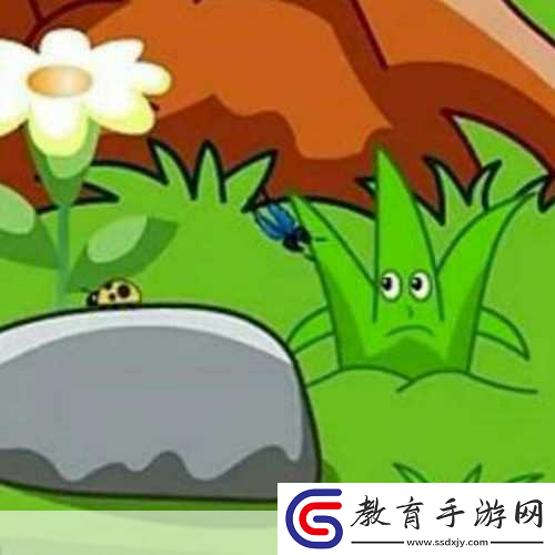 小草回家永不迷路2024