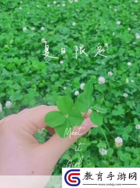 四葉草歐洲和國產區別