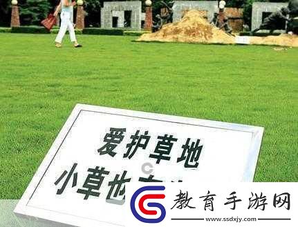小草回家永不迷路2024