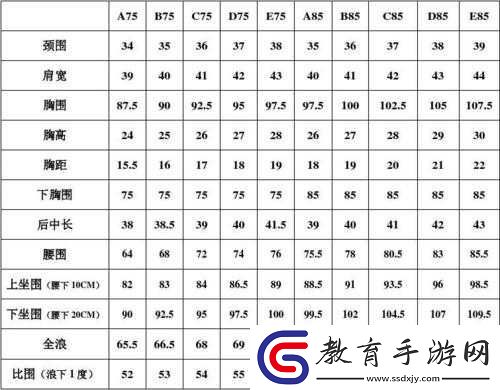 歐洲多尺碼3538