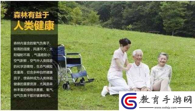 中國老年森林交易市場