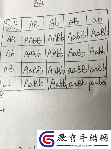 AABB與AAAA的差異