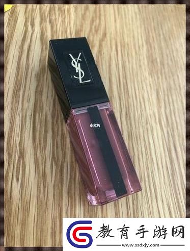 “YSL色彩秀