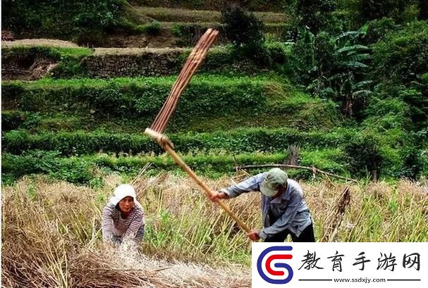 科技江湖怪談