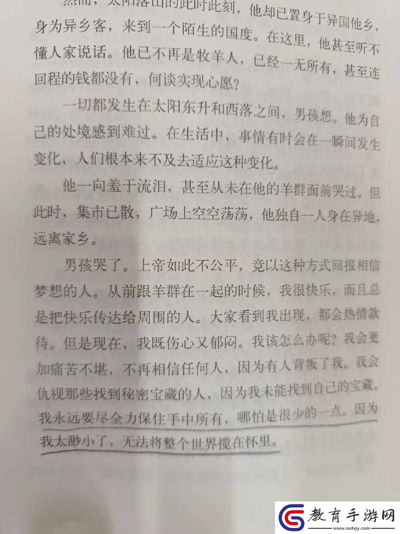 黑暗之光圣誕樹祈愿玩法開啟