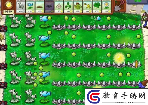 植物大戰(zhàn)僵尸生存模式陣容怎么搭配
