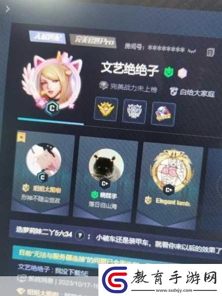 CSGO暴躁妹妹