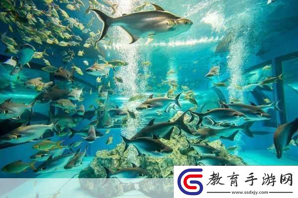 探索神奇海洋水族館