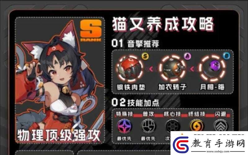 絕區(qū)零貓培養(yǎng)之旅