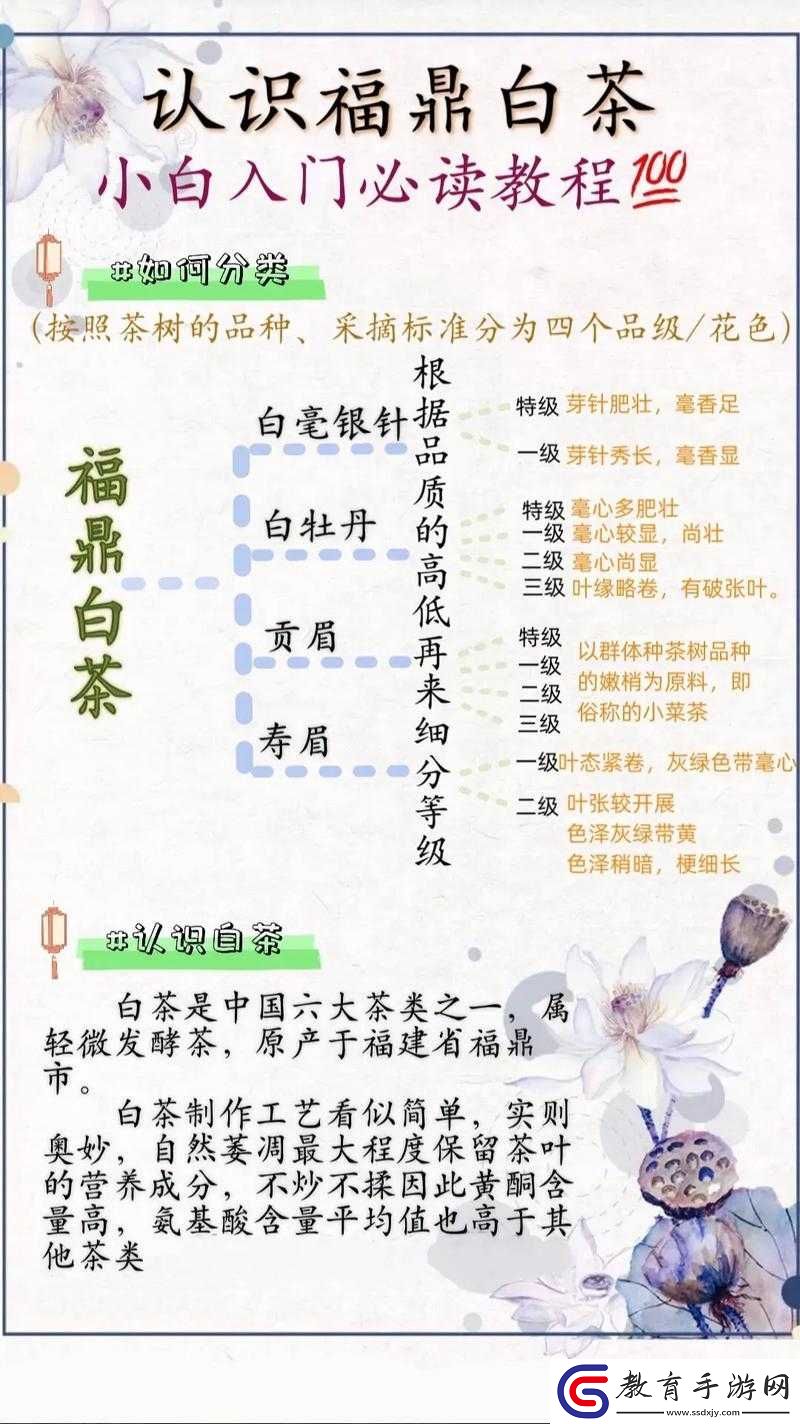 嫩草精產(chǎn)一二三產(chǎn)區(qū)的奧秘