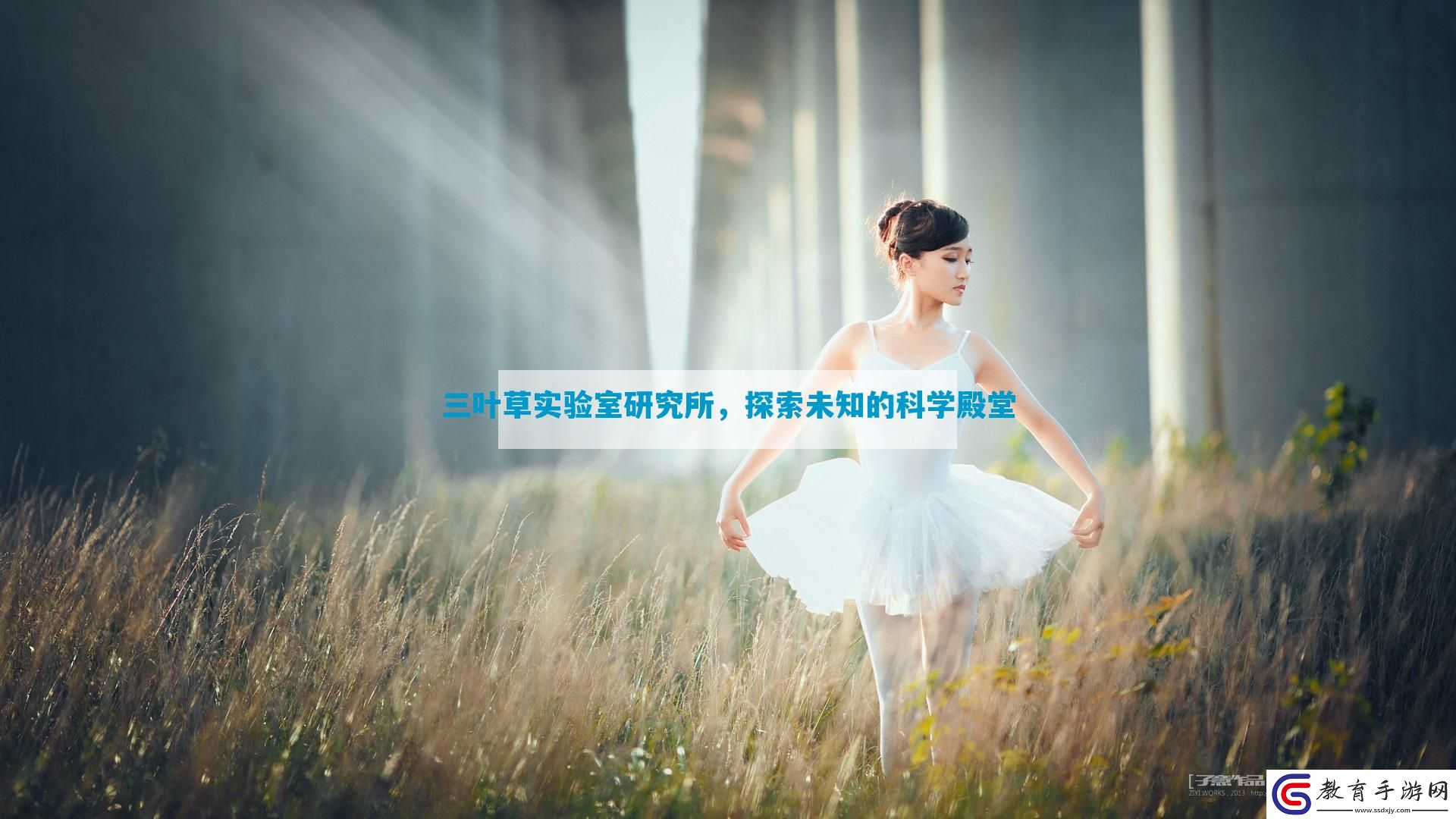 三葉草實驗室研究所