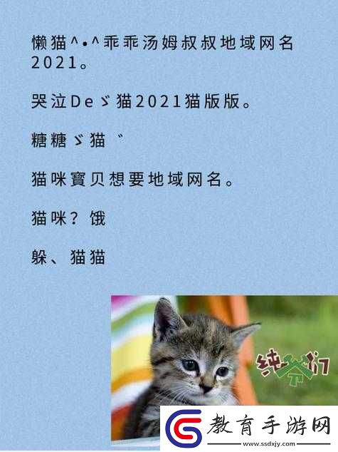 貓咪最新地域網名是什么啥